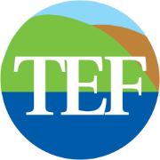 TEF Logo